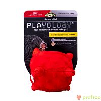 Изображение Playology игр. Сенсорный плюш мяч Puppy Sensory Ball 15см для щенков с ароматом говядины красный от магазина Profzoo