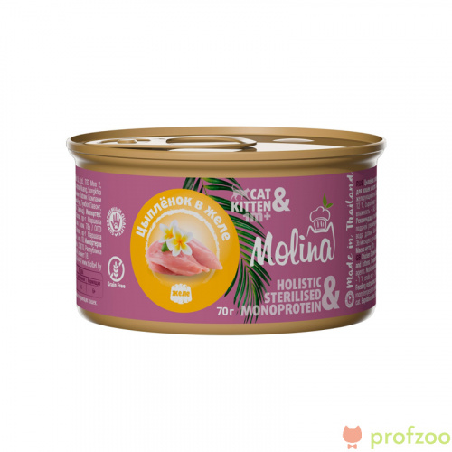 Molina консервы 70г Цыпленок в желе для кошек и котят 