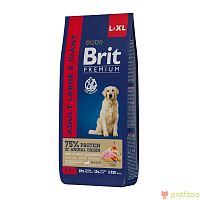 Изображение Brit Premium Dog Large & Giant с курицей для крупных пород 15кг от магазина Profzoo