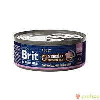 Brit Premium консервы Мясо индейки и семена чиа для кошек 100г