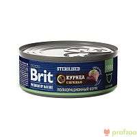 Brit Premium консервы Мясо курицы с печенью для стерилиз.кошек 100г